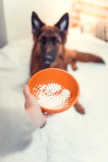 lickimat-wobble-pomarańczowa