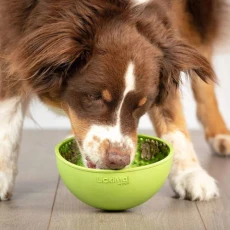 lickimat-wobble-zielona-pies.jpg