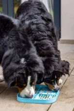 lickimat-slomo-xl3.jpeg