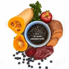 Karma tłoczona na zimno dla psa z dziczyzną i superfoods
