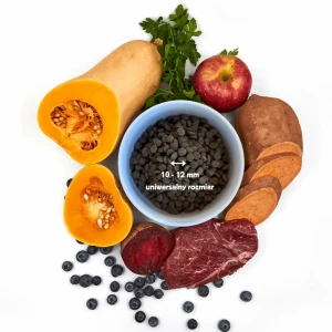 Karma tłoczona na zimno dla psa z dziczyzną i superfoods