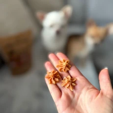 slow-dog-rozetki-kaczka-batat2.webp