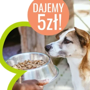 Zdjęcie produktu - DAJPIATAKA