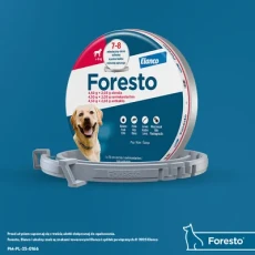 obroza-przeciwkleszczowa-foresto-duza.webp