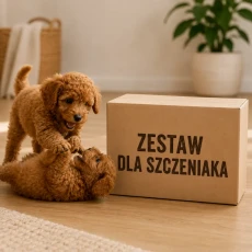 zestaw-dla-szczeniaka.webp