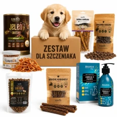 gotowy-zestaw-dla-szczeniaka.webp