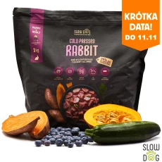 krolik_krotka_data.png.png