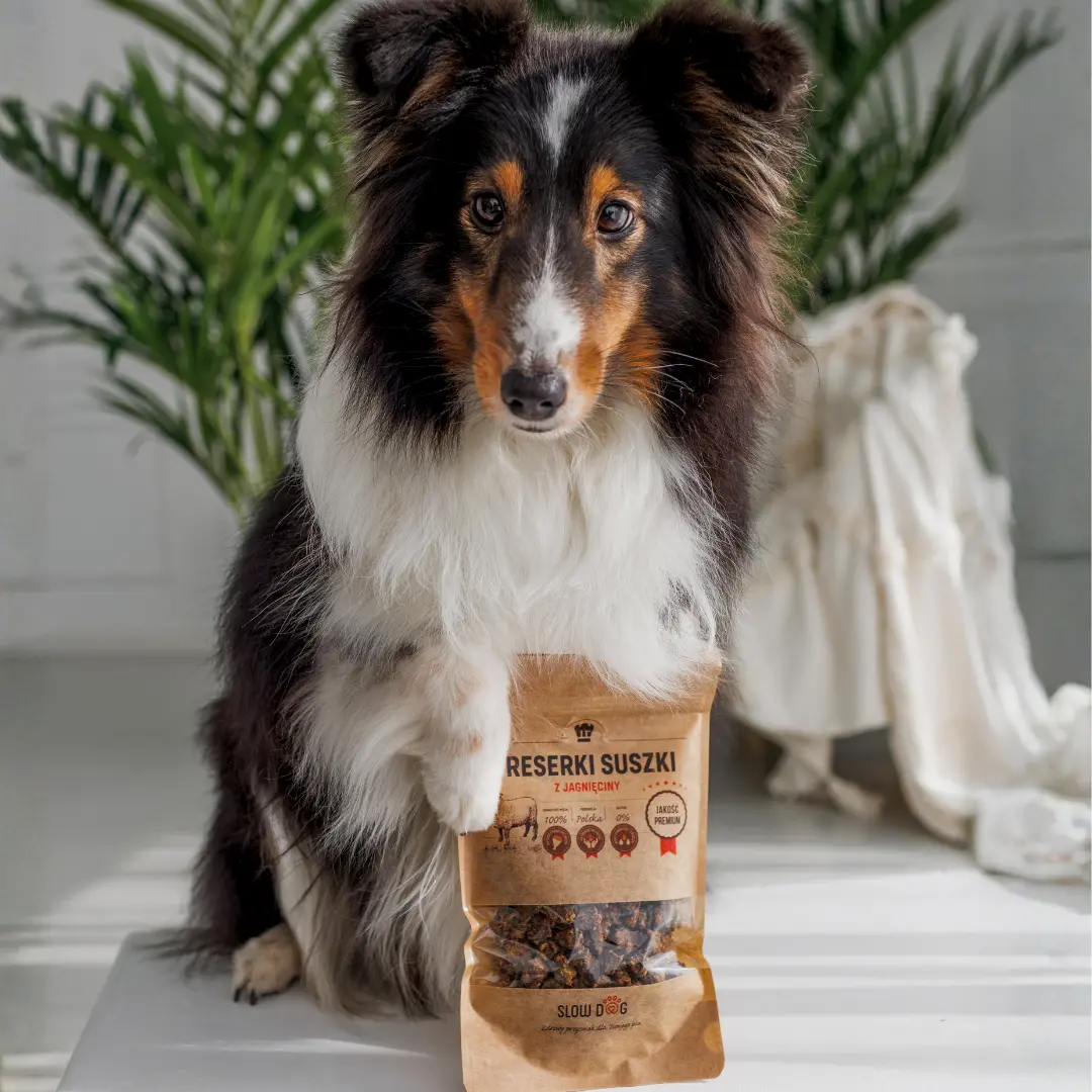 Grafika przysmaku Slow Dog