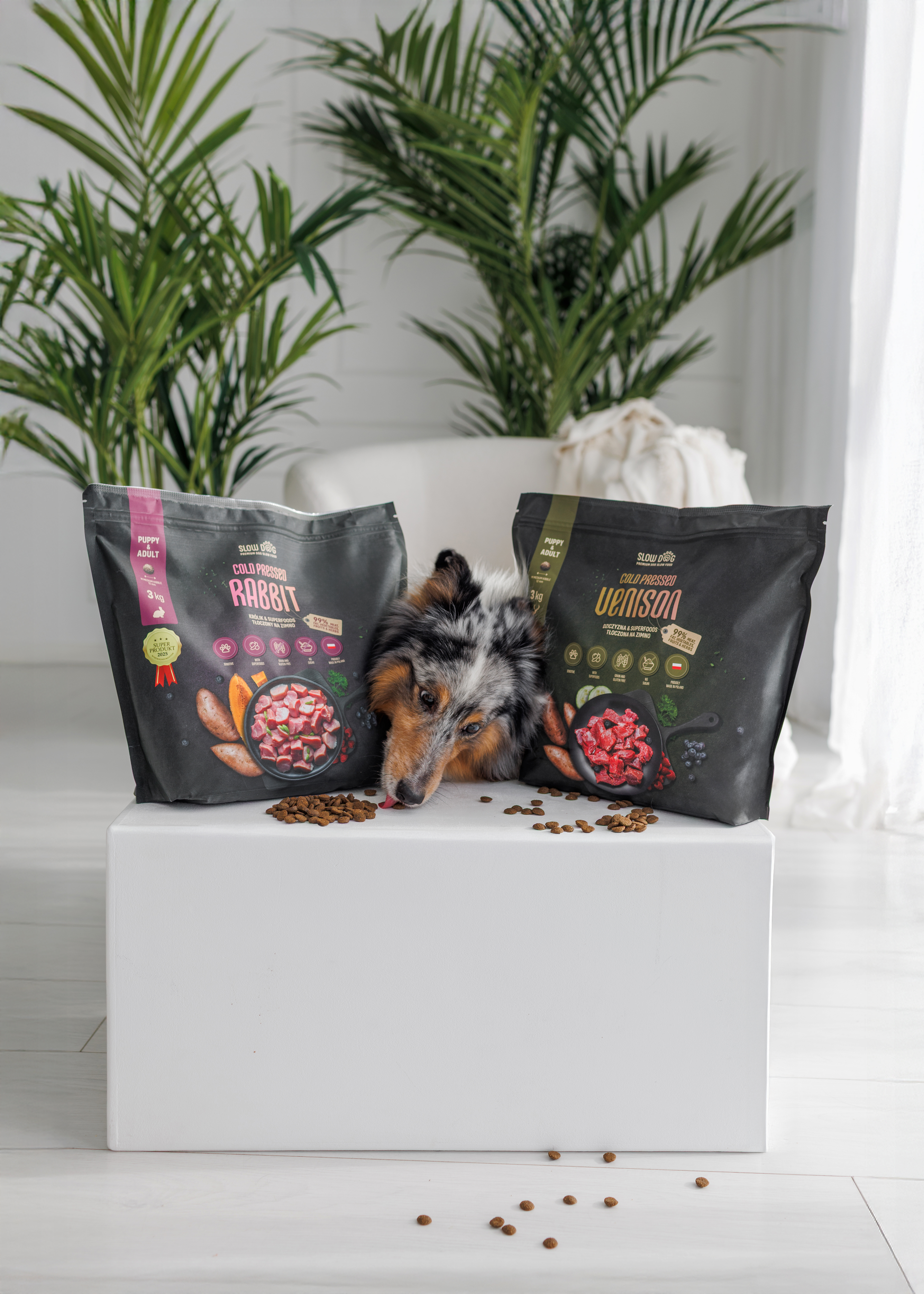 Karmy tłoczone na zimno Slow Dog z psem