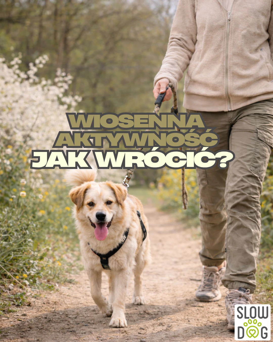 Aktywny pies na wiosnę? Sprawdź porady Slow Dog o aktywności