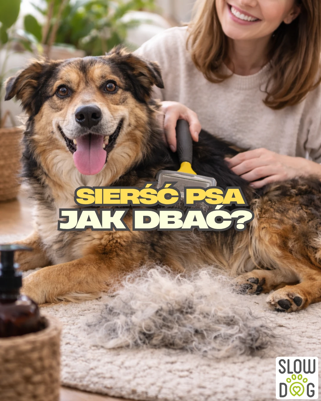 Jak wspomóc psa podczas wymiany psich włosów?